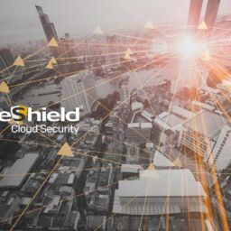 VeeShield Cloud Security from VeeMost Technologies